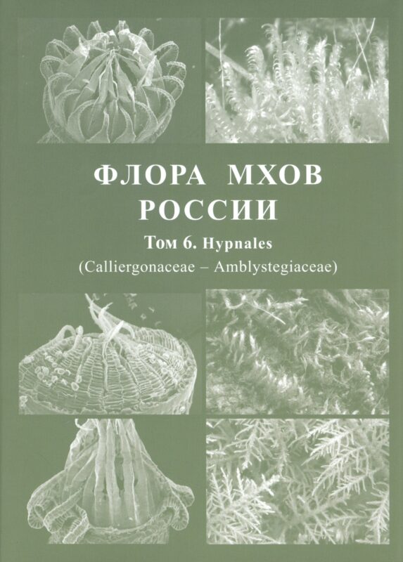 Флора мхов России. Том 6