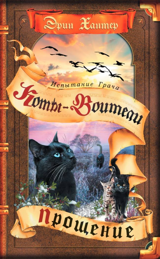 Испытание Грача. Книга 2. Прощение