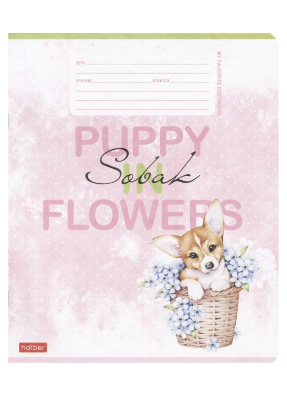 Тетрадь в линейку Hatber, "Пушистое счастье", 12 листов, в ассортименте