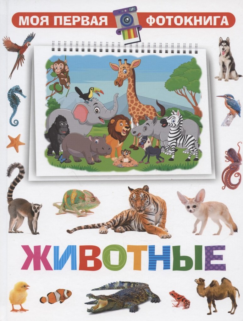 Моя первая фотокнига. Животные
