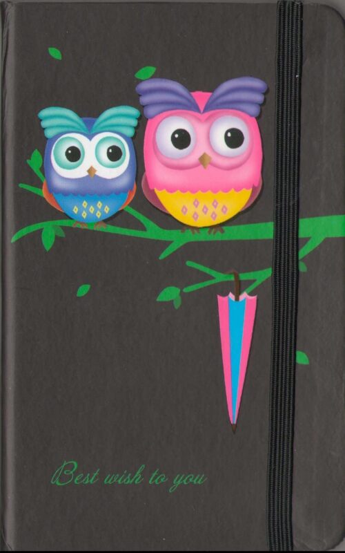 Записная книжка А6 96л "Совы. Owls" на резинке, ассорти