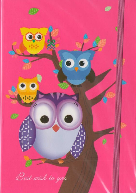 Книга для записи "Совы.Owls", А5