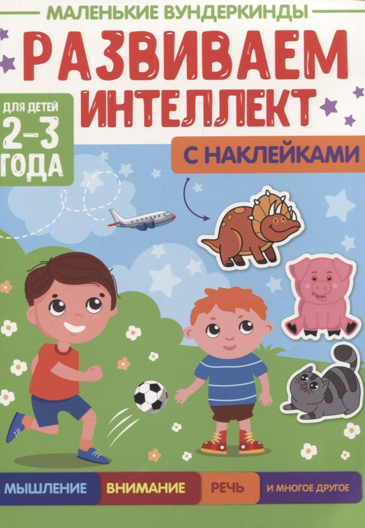 МАЛЕНЬКИЕ ВУНДЕРКИНДЫ. РАЗВИВАЕМ ИНТЕЛЛЕКТ 2-3 года