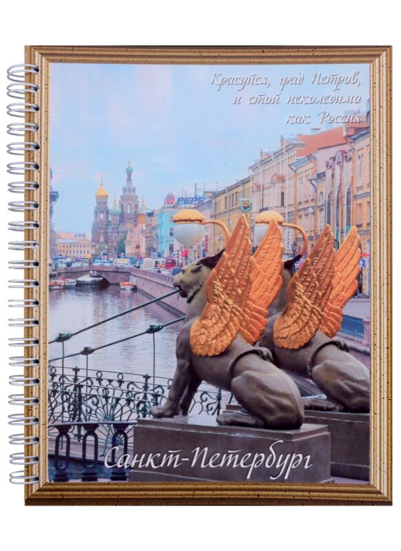 Тетрадь в клетку "СПб", А5, 96 листов, в ассортименте