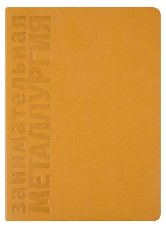 Занимательная Металлургия. Познавательный ежедневник