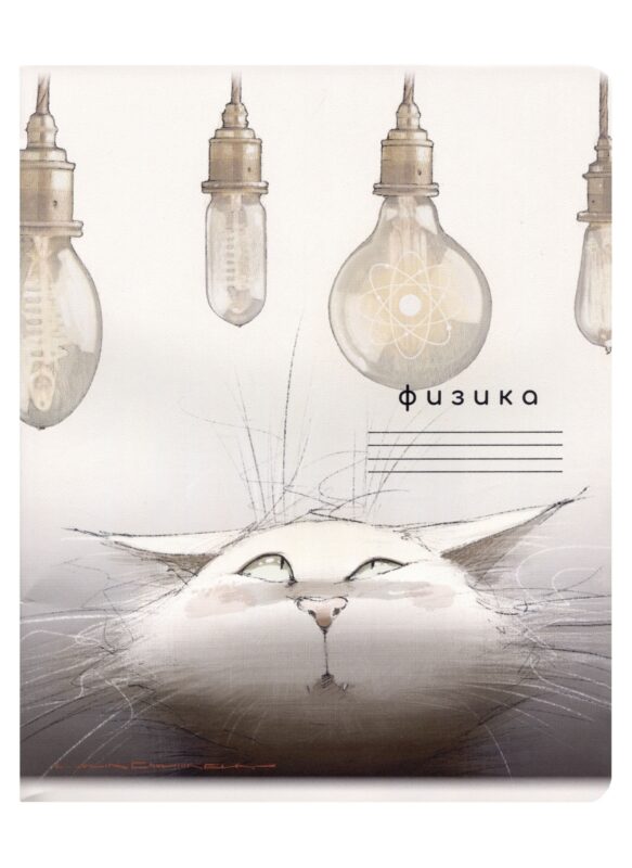 Тетрадь предметная в клетку "Кот учёный. Физика", 48 листов