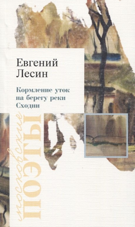 Кормление уток на берегу реки Сходни