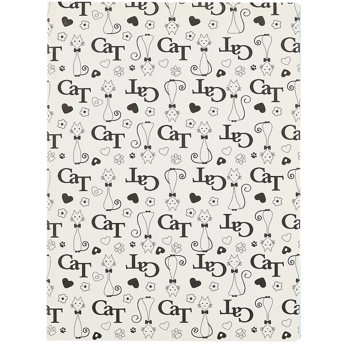 Тетрадь Asac, Cat, B5, 48 листов