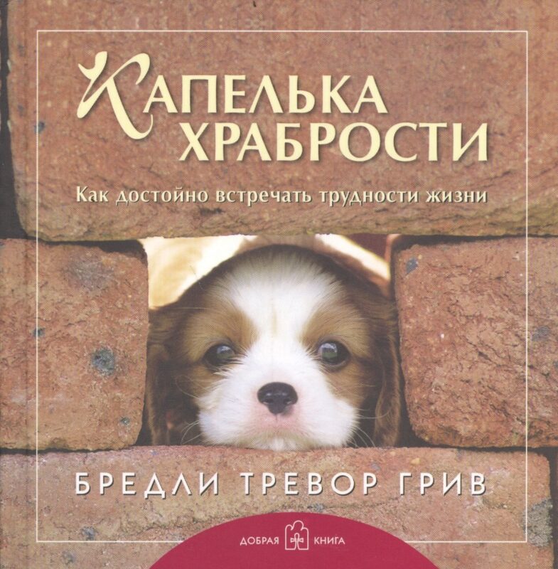 Лучшему другу. Капелька храбрости. Как достойно встречать трудности жизни (комплект из 3 книг)