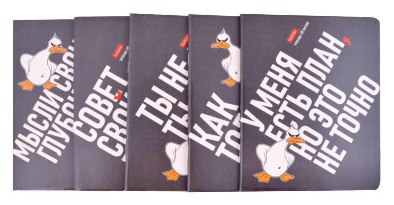 Тетради в клетку Hatber, "Гусь умный", 48 листов, 5 штук