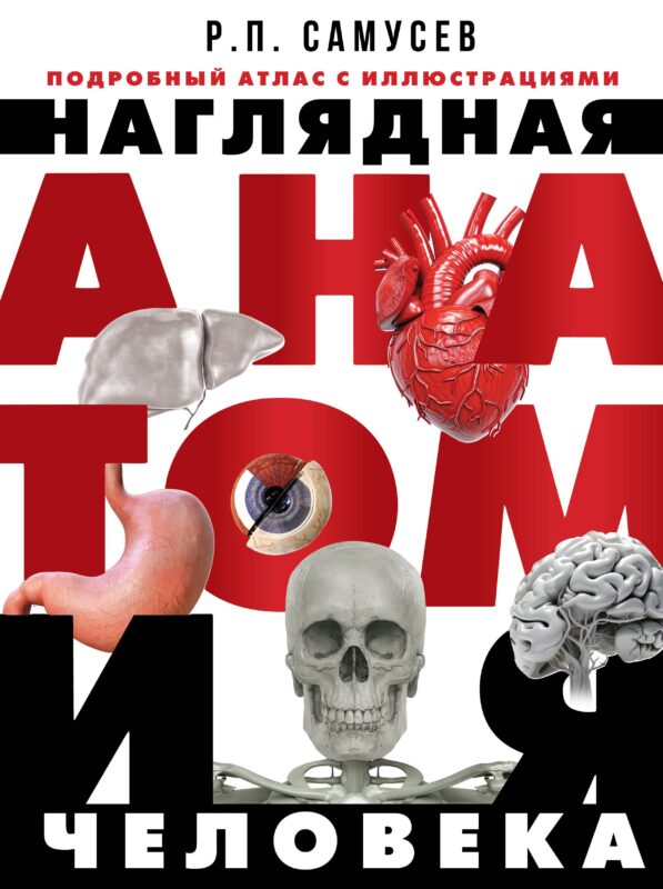 Наглядная анатомия человека. Подробный атлас с иллюстрациями