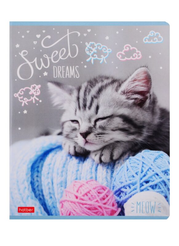 Тетрадь в клетку Hatber, "По имени Мяу", 48 листов, в ассортименте