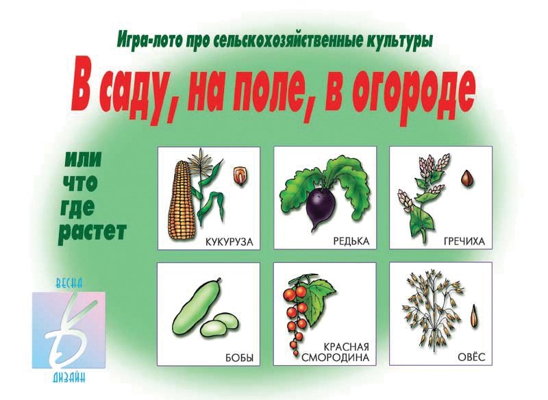 В саду, на поле, в огороде. Игра-лото