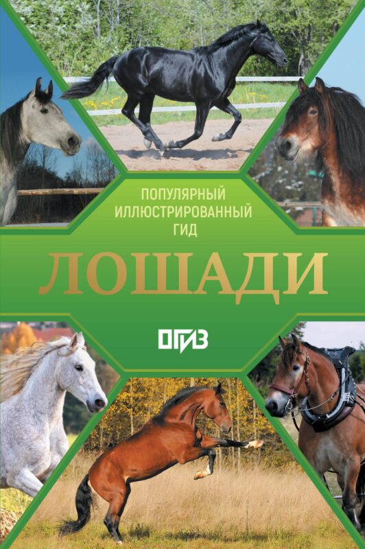 Лошади. Иллюстрированный гид