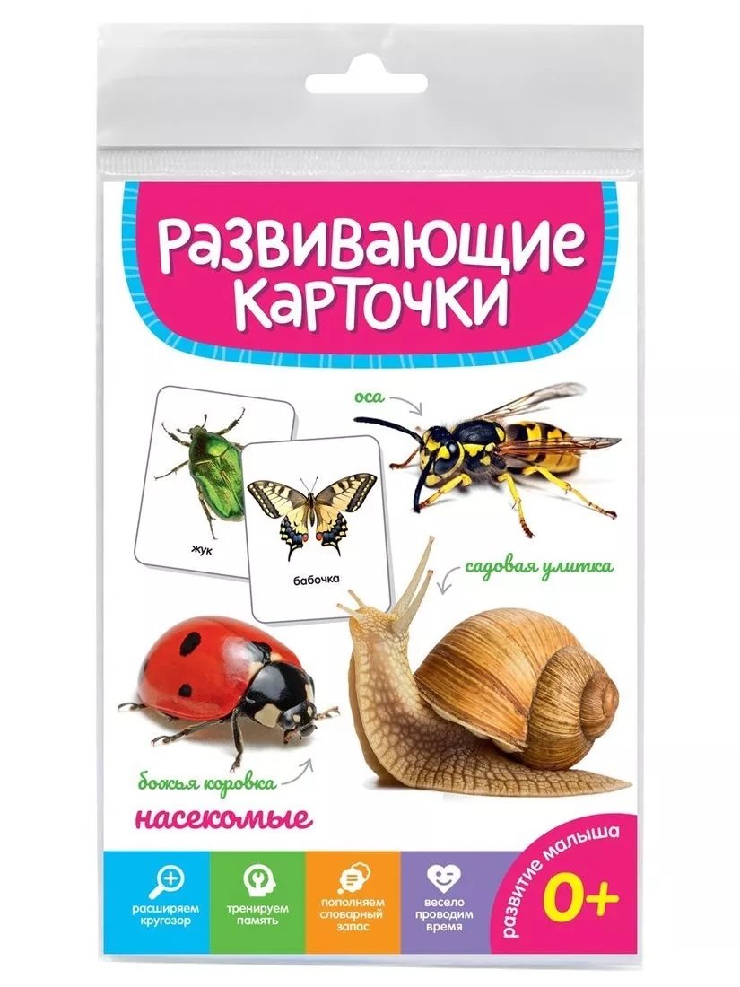 Насекомые. Развивающие карточки