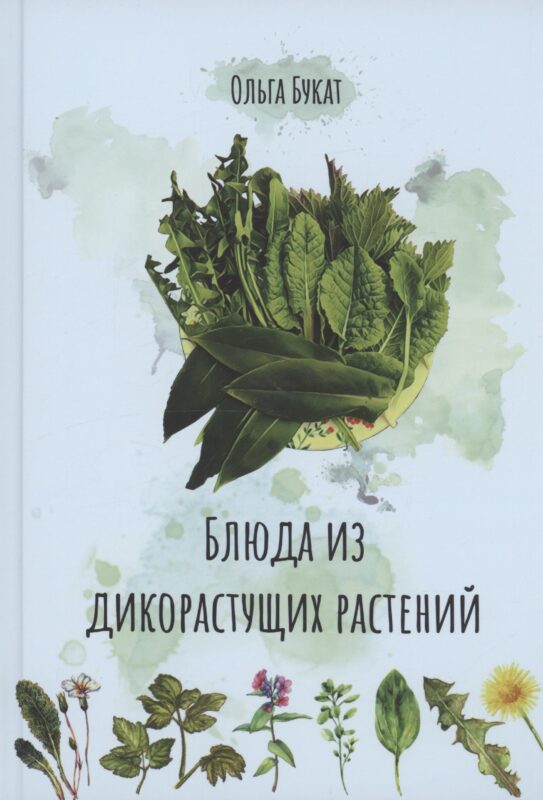 Блюда из дикорастущих растений