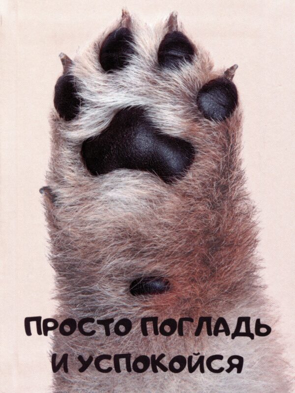 Книга для записей А6 80л кл. "Просто погладь" инт.переплет, ламинация soft touch, выб.УФ-лак, офсет