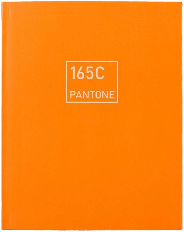 Книга для записей А5+ 96л тчк. "Рыжая лиса" интеграл.перепл., матов.ламин., выб.лак