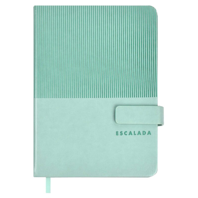 Ежедневник недат. А6+ 120л 126х174 "Гоутскин" мятный, иск.кожа, тв.переплёт, блинт.тиснение, магнит.клапан офсет, ляссе