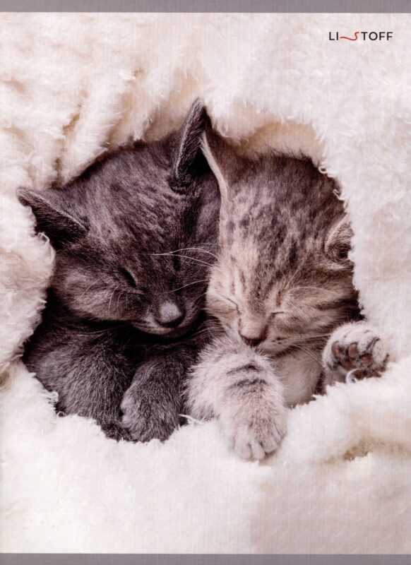 Тетради в клетку Listoff, "Пушистый сон", А4, 48 листов