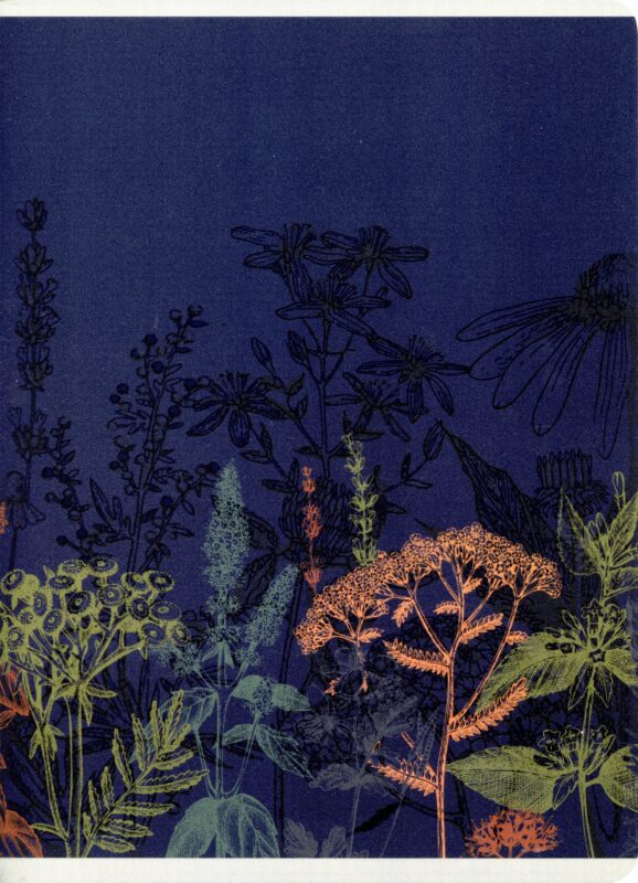 Тетрадь в клетку Listoff, "Гербарий", А4, 96 листов