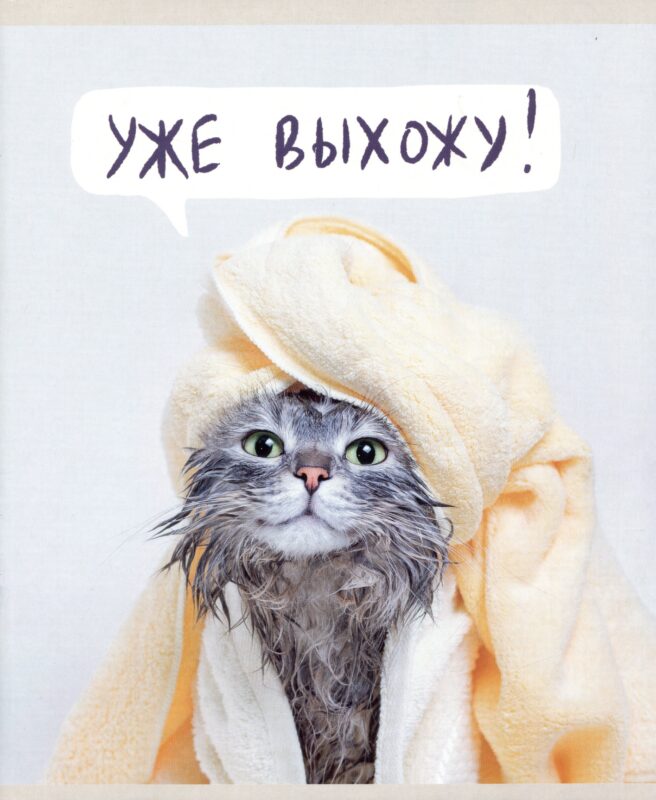 Тетрадь в линейку Listoff, "Утро кошечки (Эксклюзив)", А5, 48 листов