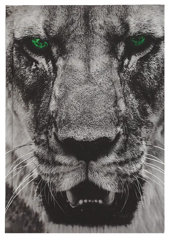 Ежедневник недат. А5 128л "Царь зверей" 7БЦ, ламинация soft touch, офсет