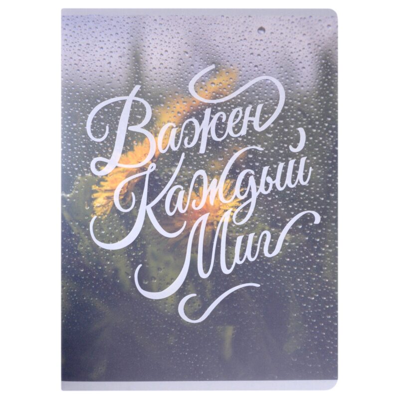 Тетради в клетку Listoff, "Важен каждый миг", А4, 80 листов, двойная обложка