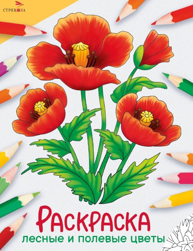 Лесные и полевые цветы. Окружающий мир. Раскраска