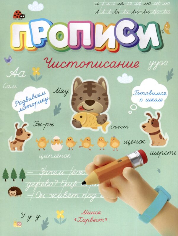 Чистописание