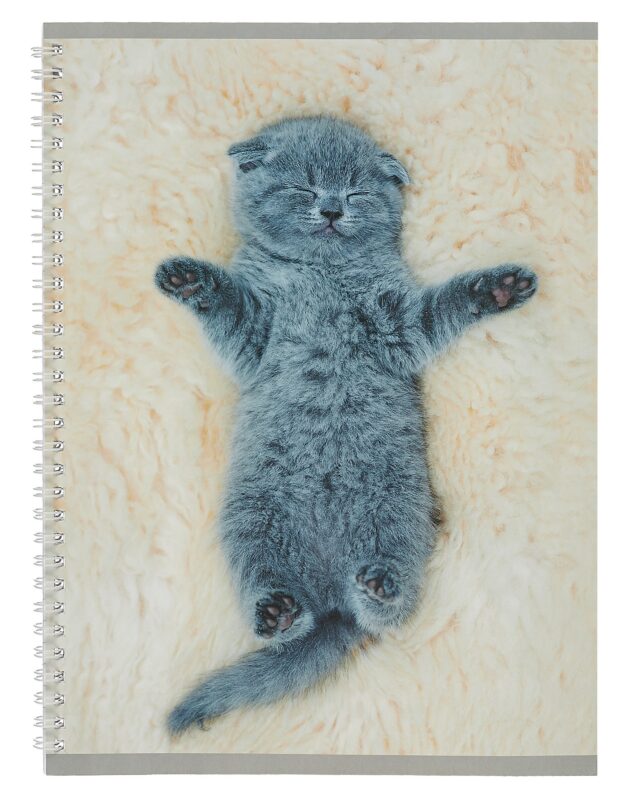 Тетрадь в линейку Listoff, "Котенок", А4, 60 листов