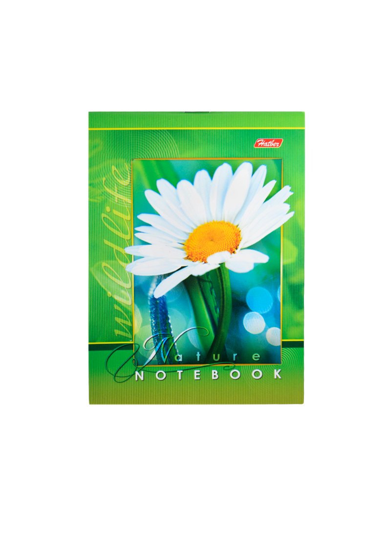 Блокнот А6 48л кл. "Живые моменты" скоба, ассорти, Hatber