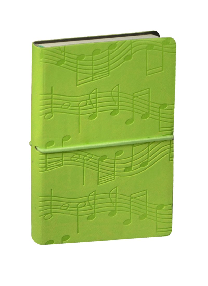 Записная книжка А6 96л "Ноты" зеленая, Link Art