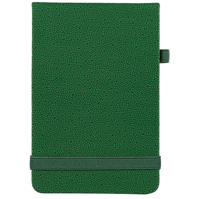 Репортёрская записная книжка Escalada «Шагрень», 60 листов, зелёная, А6