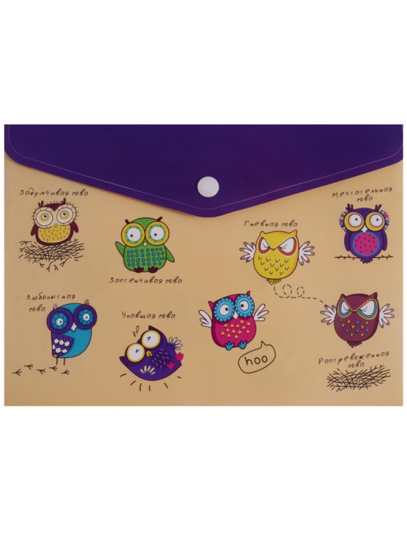 Папка-конверт на кнопке "Совы"