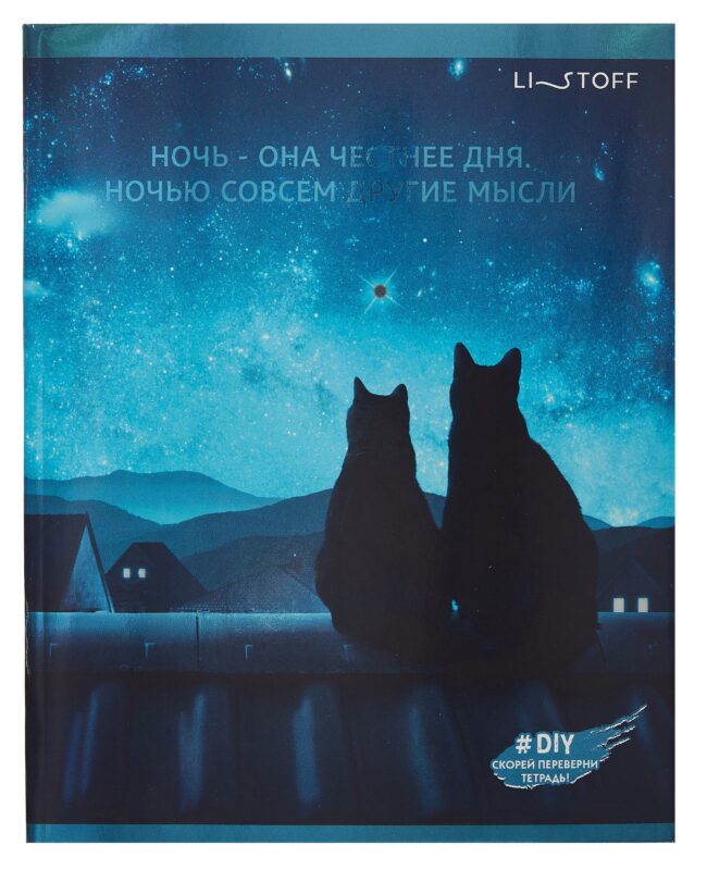 Тетрадь в клетку Listoff, "Ночное сияние", 48 листов, в ассортименте
