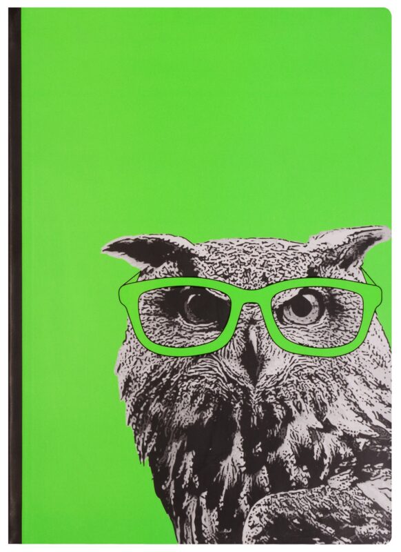 Блокнот "Сова в очках"