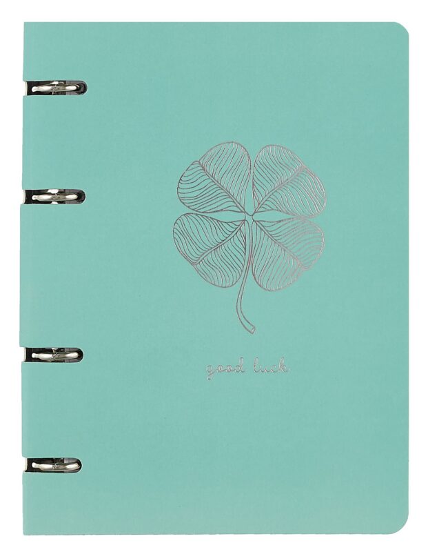 Тетрадь на кольцах Listoff, "ColourMania. Дизайн 21", А5, 100 листов