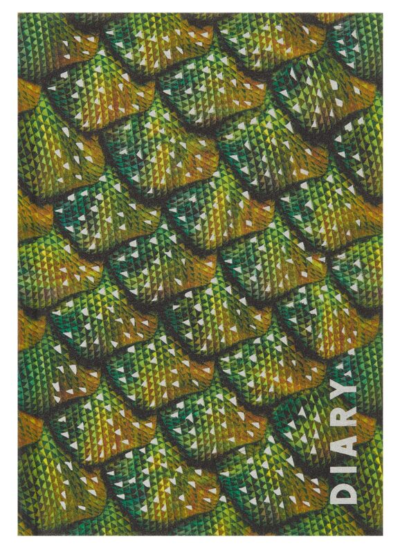 Ежедневник недат. А5 128л "Химера" 7БЦ, ламинация Glitter, тиснение фольгой, офсет