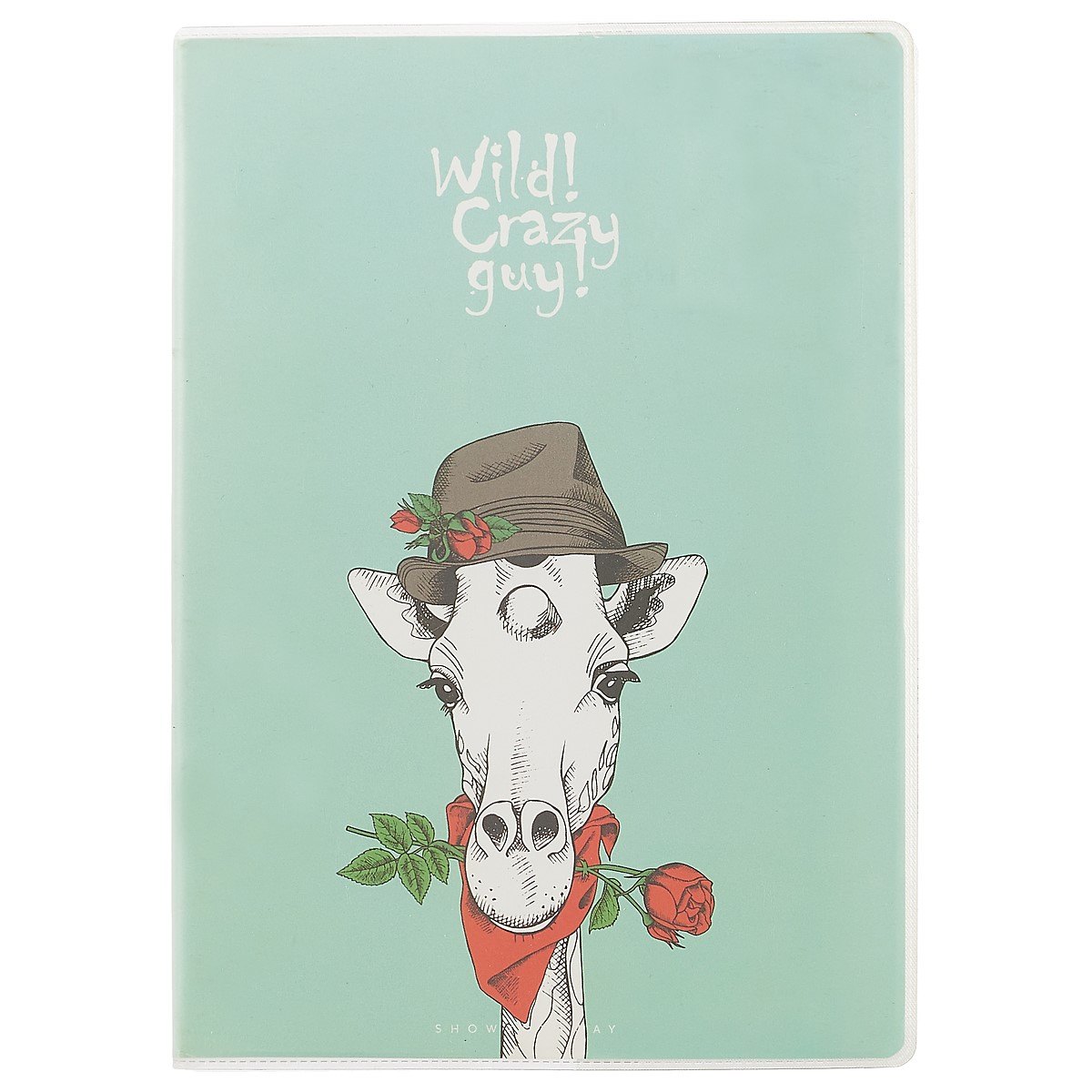 Тетрадь в линейку AnAn, Crazy guy, А5, 60 листов, в ассортименте