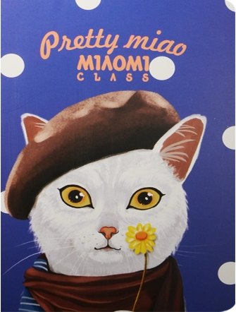 Тетрадь в клетку Languo, Pretty Cat, 40 листов, в ассортименте