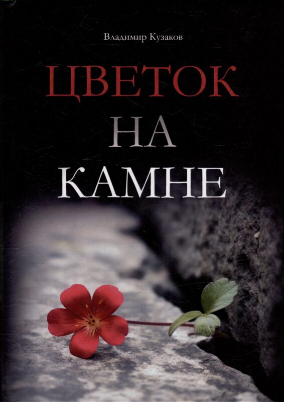 Цветок на камне