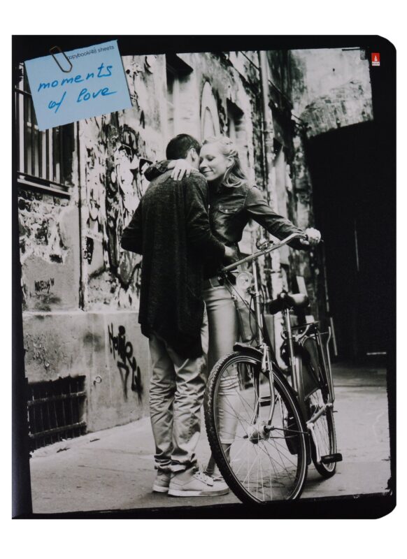 Тетрадь в клетку Альт, "Романтические пары", 48 листов, в ассортименте