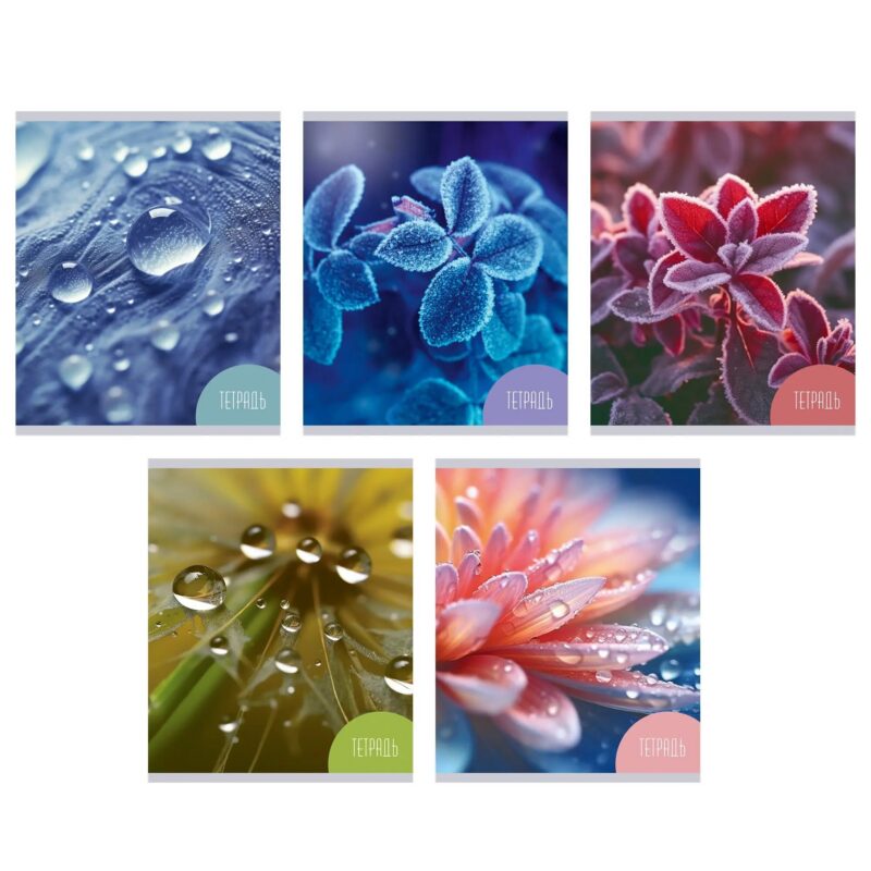 Тетрадь в клетку Listoff, "Красота природы", 48 листов, в ассортименте