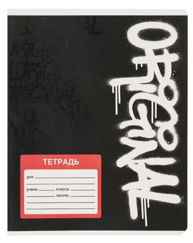 Тетрадь в клетку Феникс+, "Панк", 18 листов