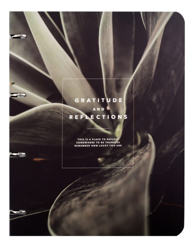 Тетрадь на кольцах в клетку Be Smart, "Botanica. Сансевиерия", А4, 120 листов