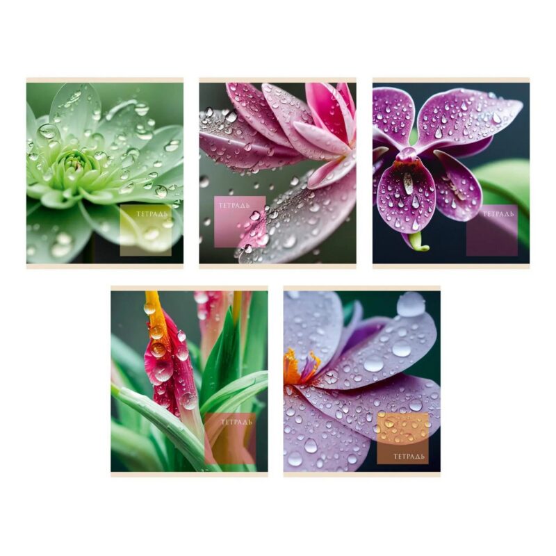 Тетрадь в клетку Listoff, "Чарующая природа", 48 листов, в ассортименте