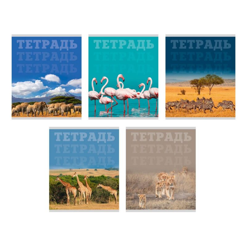 Тетрадь в клетку Listoff, "В мире животных", 80 листов, в ассортименте