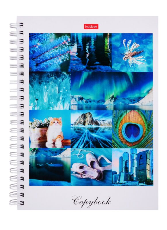 Тетрадь в клетку Hatber, "Краски дня", 80 листов