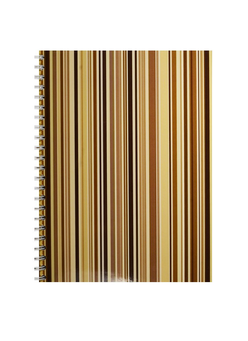 Тетрадь в клетку Феникс+, "Полосы", 100 листов, в ассортименте